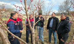 ÇİVRİL’İ DON VURDU