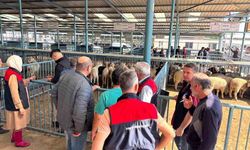 DENİZLİ İL TARIM VE ORMAN MÜDÜRLÜĞÜ EKİPLERİNDEN KURBAN BAYRAMI ALARMI
