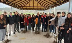 BAKLAN’DA KESTANE YETİŞECEK