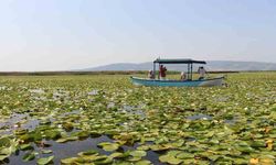 DOĞAL YAŞAM ENDİŞESİ