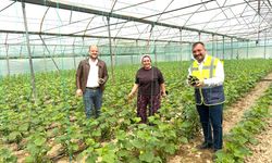 GÜNEY BELEDİYE BAŞKANI ÜRETİCİLERLE FİDAN DİKTİ