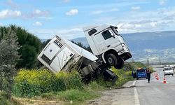 BAĞA GİREN TIR ŞAHA KALKTI