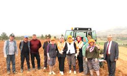 ÇAL KAYMAKAMI POŞU TAKTI, KEKİK DİKTİ