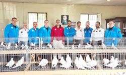 AZMAN GÜVERCİNLER MEST ETTİ