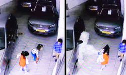 AFACANLARIN TEHLİKELİ OYUNU