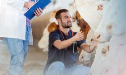 ÜRETİCİYE SAHADA DESTEK