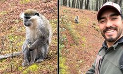 ÇAMLIK’TAKİ MAYMUN FİRARİYMİŞ