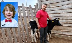 MERT İÇİN SEFERBERLİK