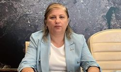 AYŞEGÜL ODABAŞIOĞLU ÇOMAK: KÖY ENSTİTÜLERİ RUHUNA DÖNÜLMELİ
