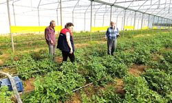 TARIM EKİPLERİ SAHADA