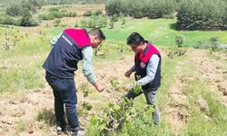 YAĞIŞ SONRASI SAHA KONTROLÜ