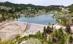 ÇAMELİ’DE SEVİNDİREN MANZARA