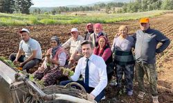 BAŞKANLAR TÜTÜN MESAİSİNDE