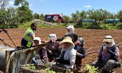 BÜYÜKŞEHİR MOBİL İKRAM FİLOSU ROTASINI TARLALARA ÇEVİRDİ