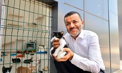 SAHİPLENDİRMEDE REKOR ARTIŞ