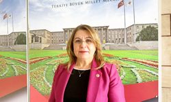 CHP DENİZLİ MİLLETVEKİLİ KARACA’DAN 19 MAYIS RAPORU