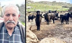 YILLARIN ÇOBANINDAN HAYVANCILIK TAVSİYESİ