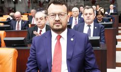 CHP’Lİ ARPACI: RANT UĞRUNA BULDAN’I YOK ETMEYİN