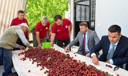 VERİM VE KALİTE YÜZ GÜLDÜRÜYOR
