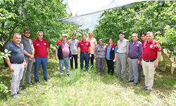 MEYVE BAHÇELERİ TAKİPTE