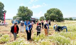 GENÇLER KEKİK TARLASINDA