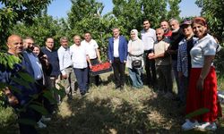 SUBAŞIOĞLU KİRAZ VE KAYISI HASADINA KATILDI