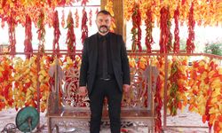 KALE BİBERİ CİPS OLDU
