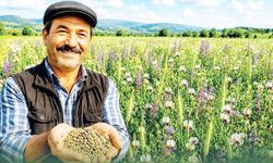DENİZLİ BÜYÜKŞEHİR BELEDİYESİ'NDEN 5’Lİ KARIŞIM TOHUM DESTEĞİ
