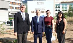 TOHUMDAN MUTFAĞA UZANAN SERÜVEN