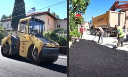 APOLLON LERMONOS TAPINAĞI’NA YAKIŞTI