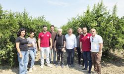 NARLARI BÖCEK KURTARACAK