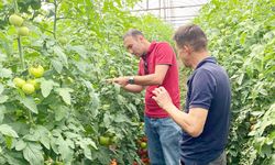 ACIPAYAM’DA SERALARDA GÖZLEM