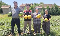 TARLADAN SOFRAYA LEZZET YOLCULUĞU