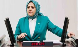 GELECEK PARTİSİ KAPANDI, MİLLETVEKİLİ VE İL BAŞKANI PARTİSİZ KALDI
