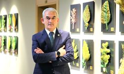 EKONOMİYE LAVANTALI KATKI