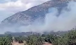 ACIPAYAM'DA ORMAN YANGINI