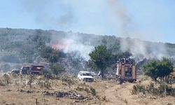 ARICININ TÜTSÜSÜ ORMANI YAKTI