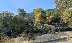 ÖRTÜ YANGINI KORKUTTU