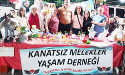 KANATSIZ MELEKLER FESTİVALE RENK KATTI