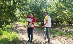 TARLADAN SOFRAYA GÜVENLİ YOLCULUK