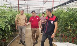ÖRNEK ÜRETİCİYE ZİYARET