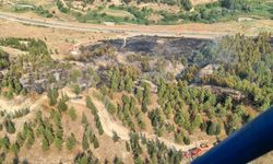 YOL KENARINDA BAŞLADI, ORMANLIK ALANA SIÇRADI