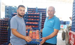 İHRACATTAKİ BELİRSİZLİK ÇİVRİL ŞEFTALİSİNİ VURDU