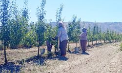 ÇİVRİL’İN GİZLİ KAHRAMANLARI