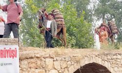 KERVAN YOLA ÇIKTI