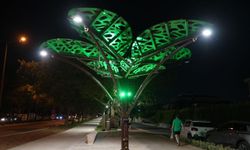 “SOLAR AĞAÇ” KENTLE BULUŞTU