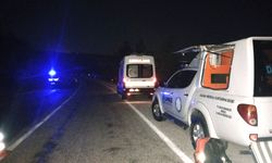 HAYVANA ÇARPTI ŞARAMPOLE UÇTU