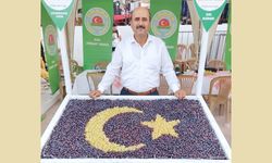 ÇAL ZİRAAT ODASI BAŞKANI HAŞİM ÇİL: HASATTAN ÖNCE AÇIKLAYIN