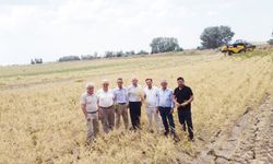 EMEK ÜRÜNE DÖNÜŞTÜ