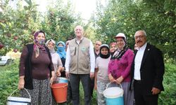 ELMA HASADI YAPTI SORUNLARI DİNLEDİ